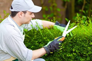 Parramatta Handyman