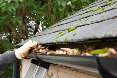 Parramatta Handyman