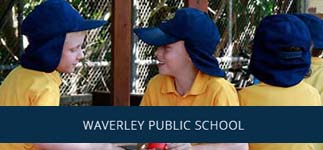 WAVERLEY PUBLIC SCHOOL