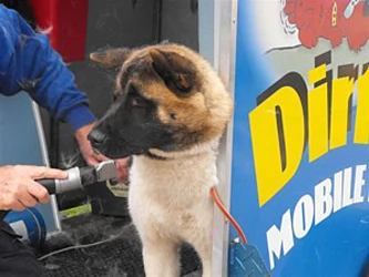 DIRTY DOGS MOBILE HYDROBATHING
