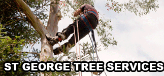 St George Tree Service