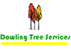 DOWLING TREE SERVICES