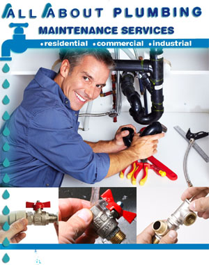 Aall Aabout Plumbing Maintenance Services