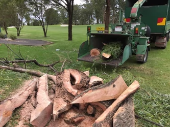 Aussie Arbor Services
