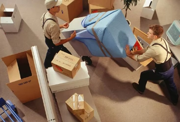 Violla Removalist