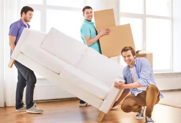 Violla Removalist