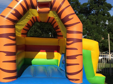 jumping castle hire hills district