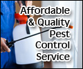 Affordable & Quality Pest Control Service