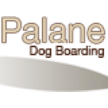 Palane Blue Mountains Dog Cat Boarding