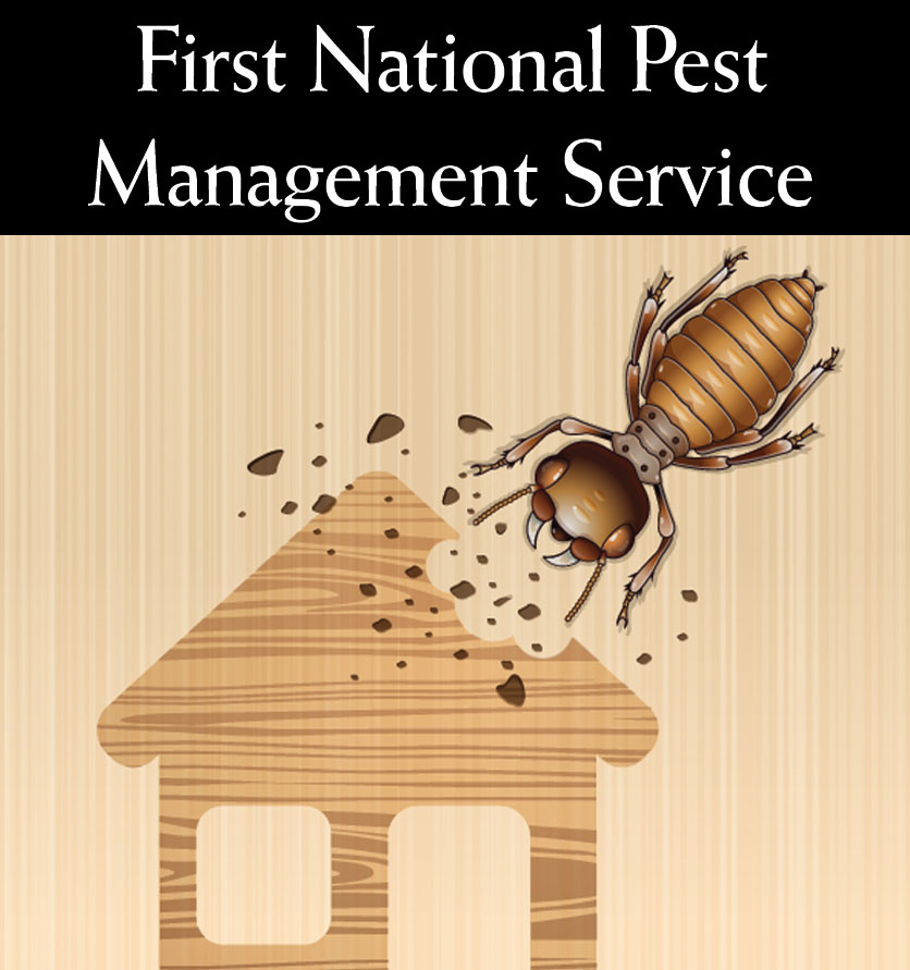 First National Pest Management Services